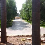 Oda ve Kahvaltı Fanizza