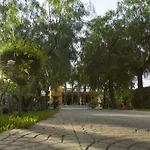 Oda ve Kahvaltı Fanizza
