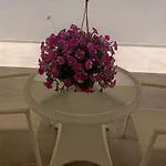 Fanizza