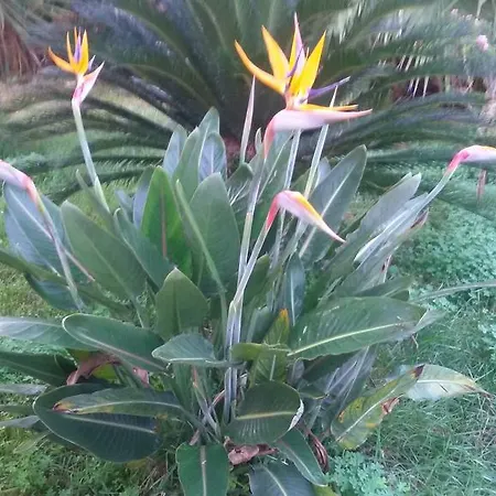 Fanizza Alojamento de Acomodação e Pequeno-almoço 3*