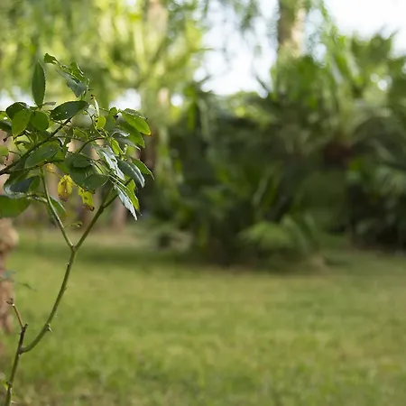 Frühstückspension Fanizza Porto Cesareo